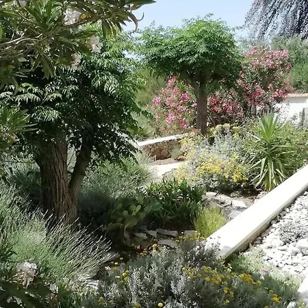 Apartment New With Private Path To Sea-mirko Zavala